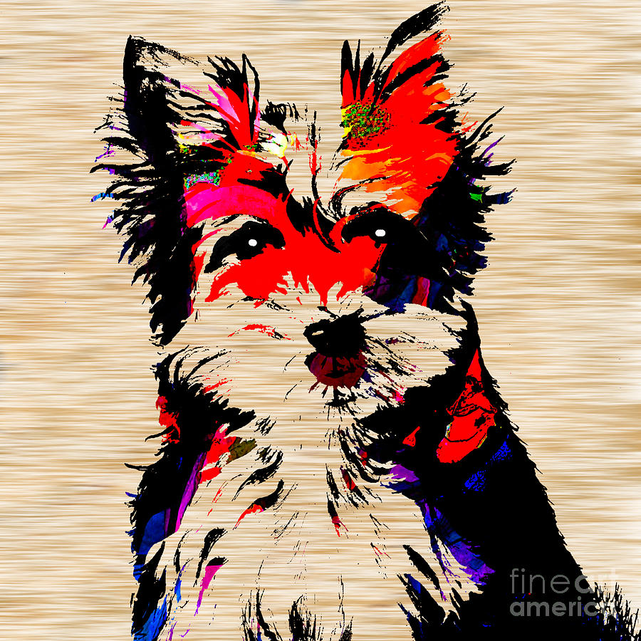 Yorkshire Terrier #8 Mixed Media by Marvin Blaine