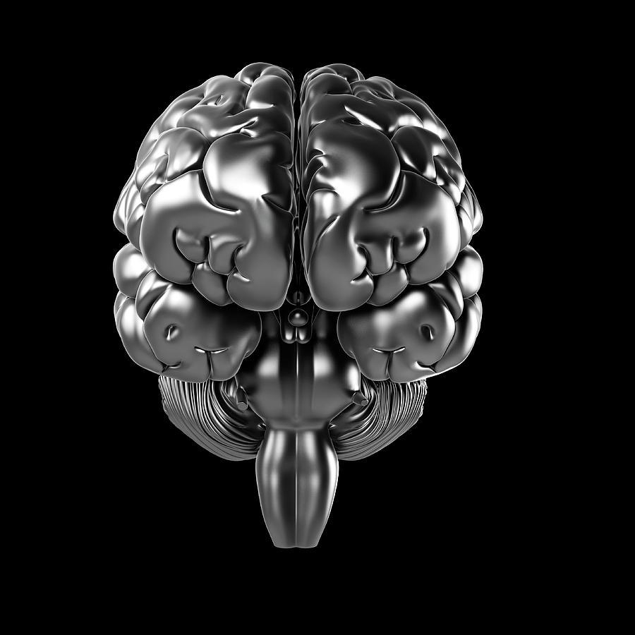 Illustration Photograph - Human Brain #80 by Sebastian Kaulitzki