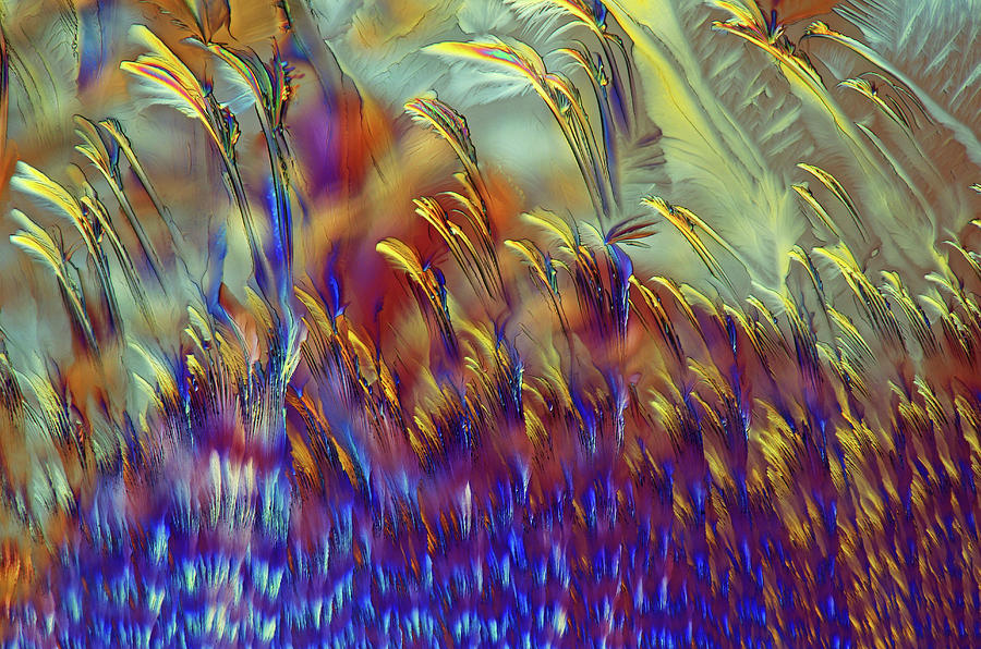 Abstract Photograph - Vitamin C #81 by Marek Mis