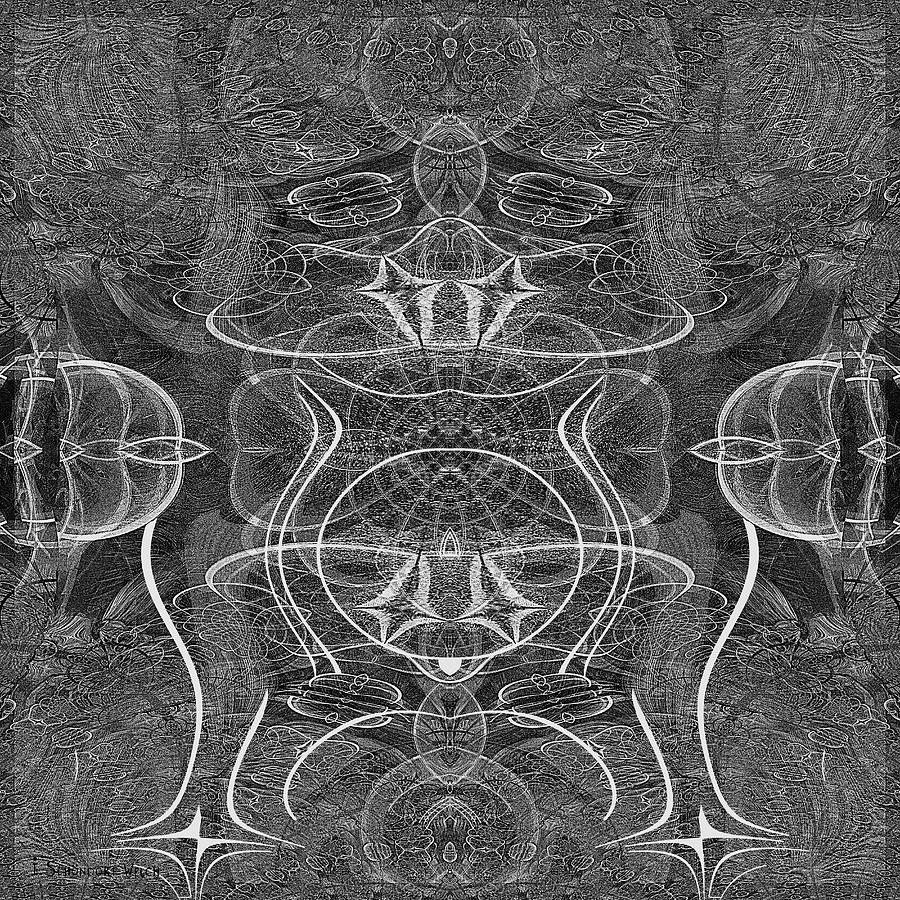 Black And White Digital Art - 812 - Transformation 1 by Irmgard Schoendorf Welch
