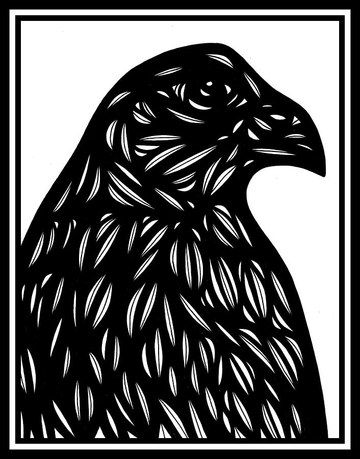 Black And White Drawing - Bruh Eagle Hawk Black and White by Eddie Alfaro