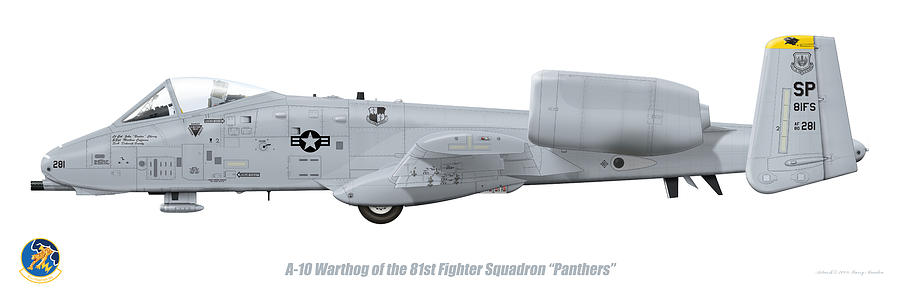 Jet Digital Art - 81st FS A-10 Warthog by Barry Munden