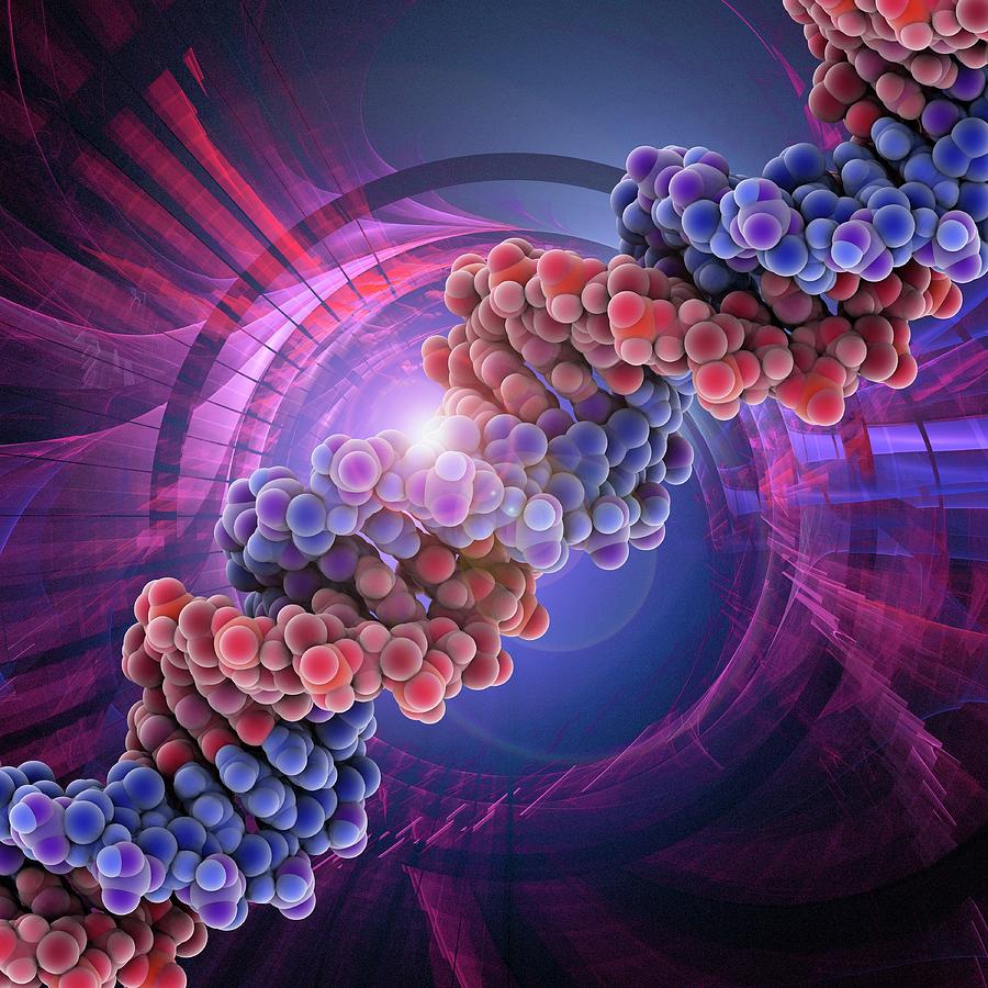Illustration Photograph - Dna Molecule #84 by Laguna Design/science Photo Library