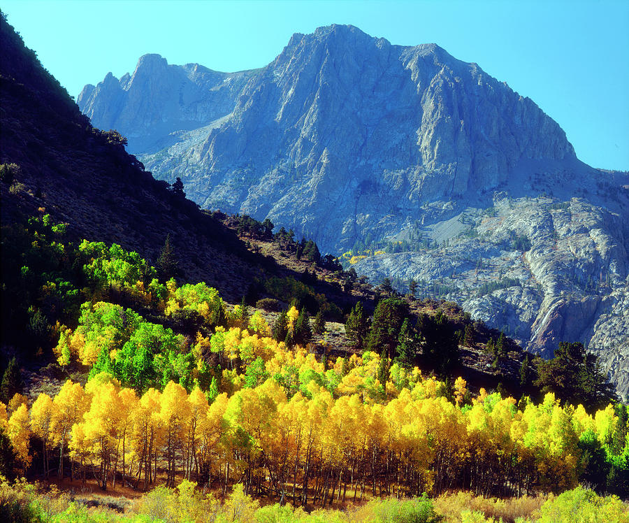 Usa California Sierra Nevada Mountains Photograph By Jaynes Gallery Pixels