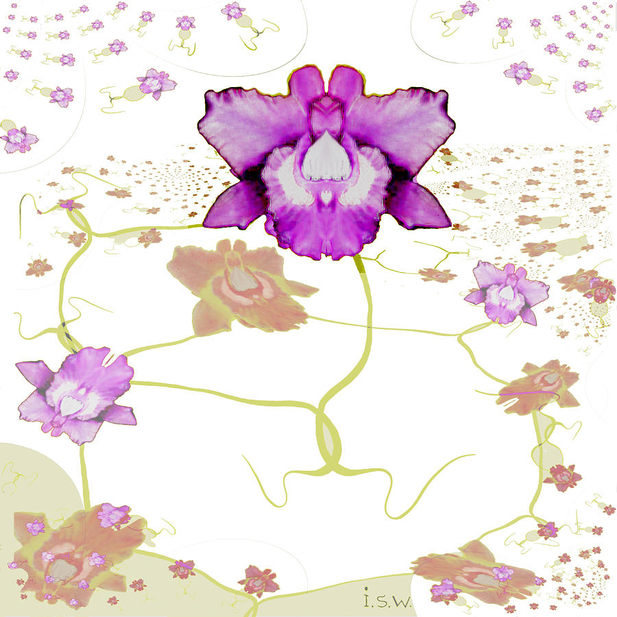 846 - Purple Orchid Digital Art by Irmgard Schoendorf Welch