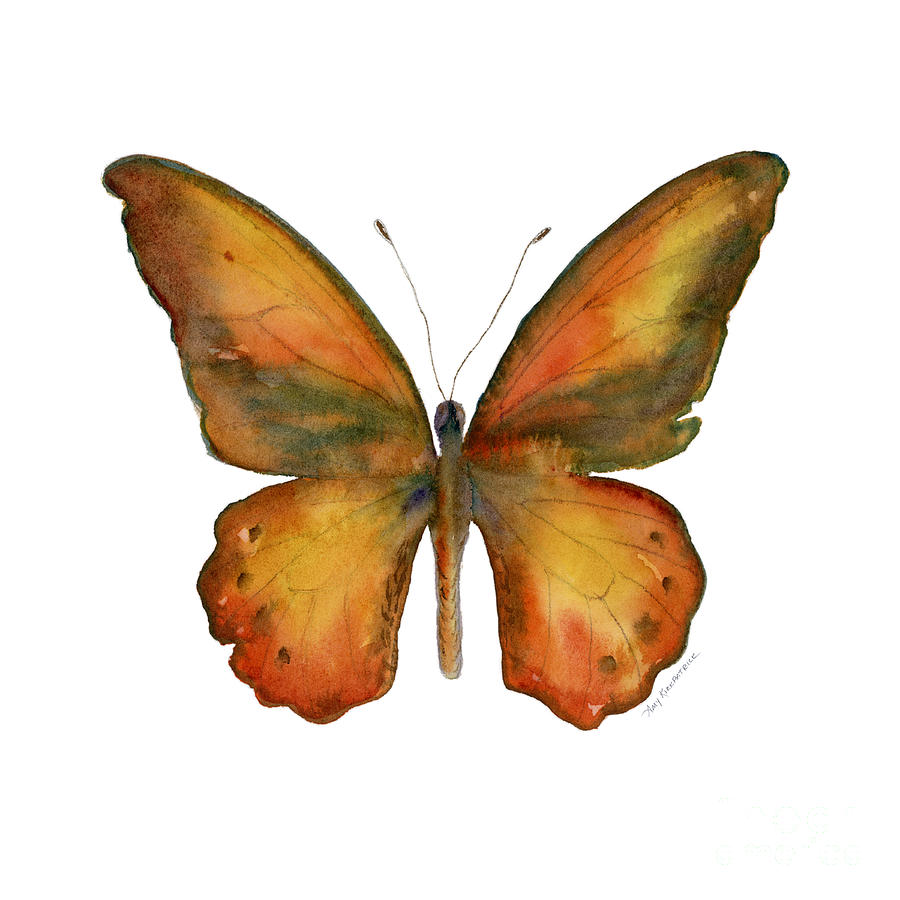 Orange Butterfly Painting - 85 Lydius Butterfly by Amy Kirkpatrick