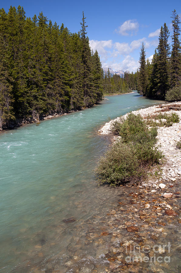 850P Bow River Canada Photograph by NightVisions