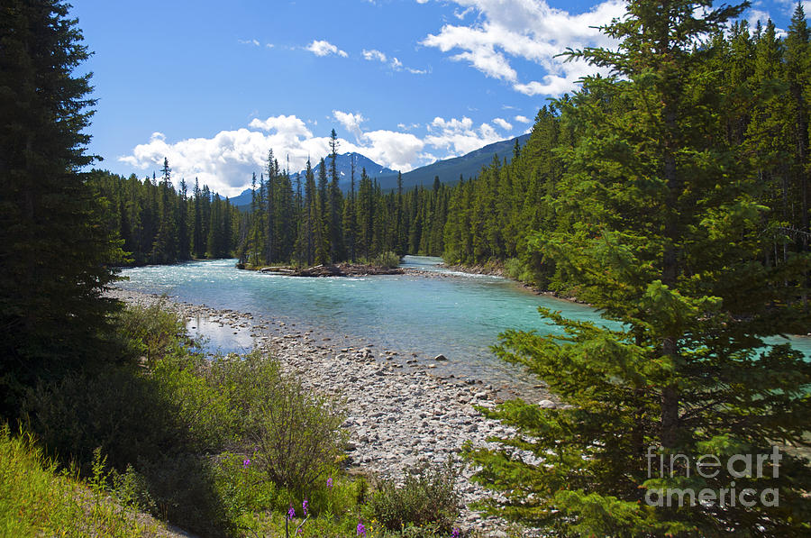 853P Bow River Canada Photograph by NightVisions