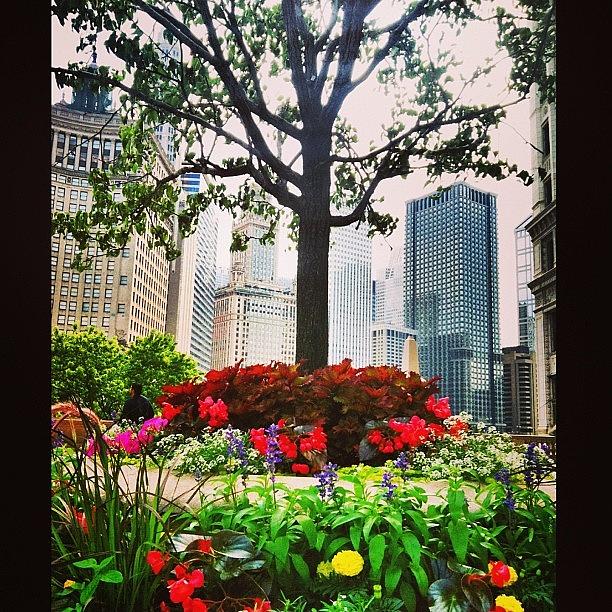 Chicago Photograph - Instagram Photo #4 by Jennifer Gaida
