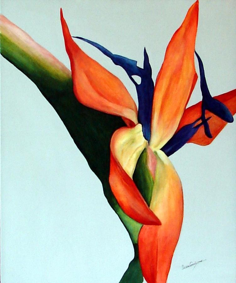 Paradise Painting - Bird of Paradise by Susan Goodyear