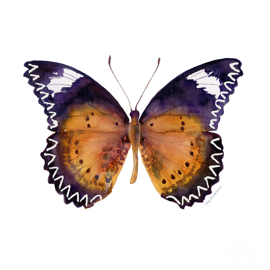 87 Cethosia Cyane Butterfly Painting by Amy Kirkpatrick