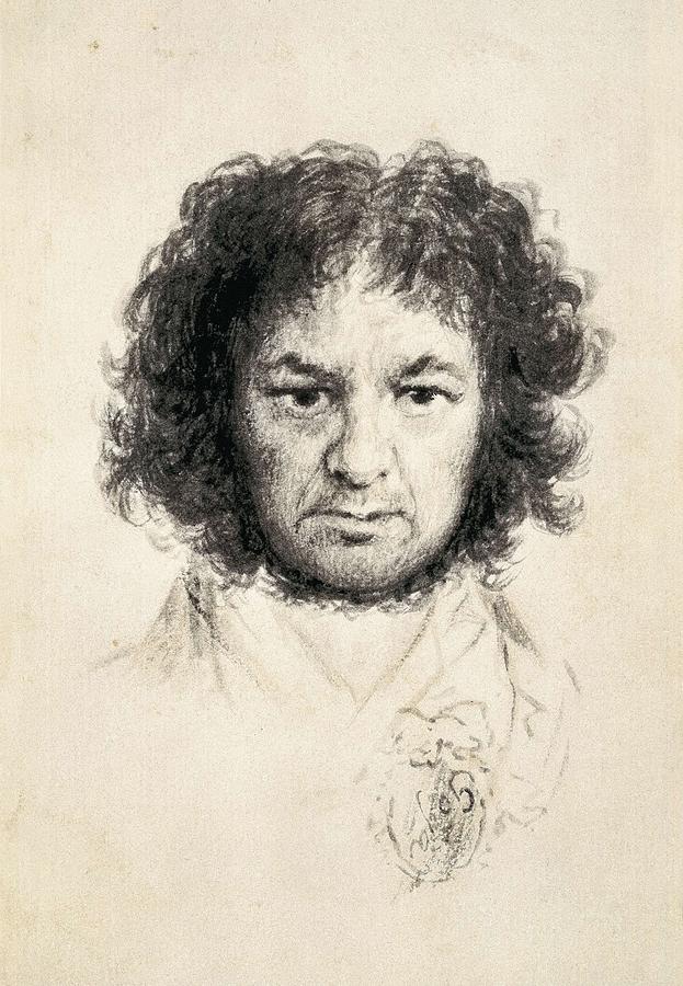 Portrait Photograph - Goya Y Lucientes, Francisco De #88 by Everett