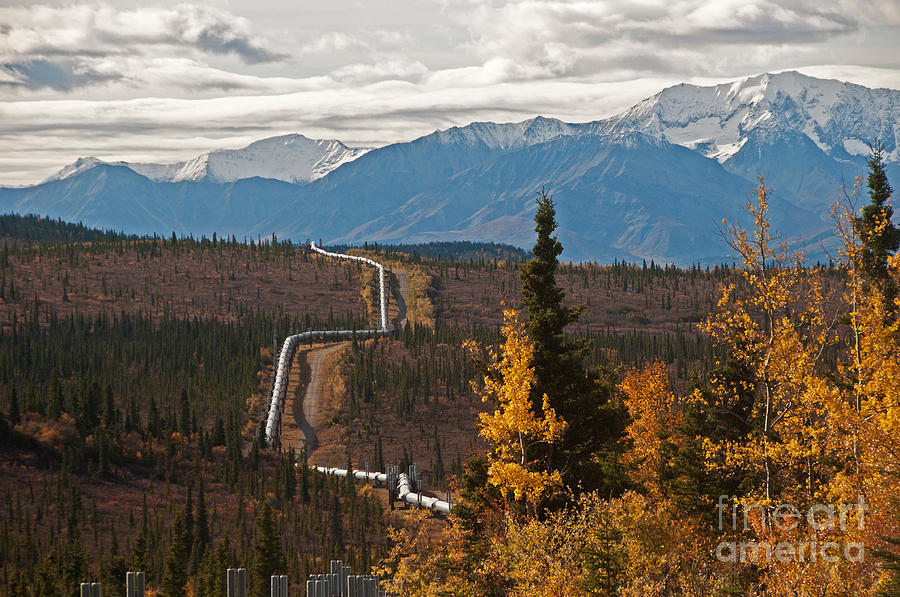 Alaska Oil Pipeline #9 Photograph by Mark Newman