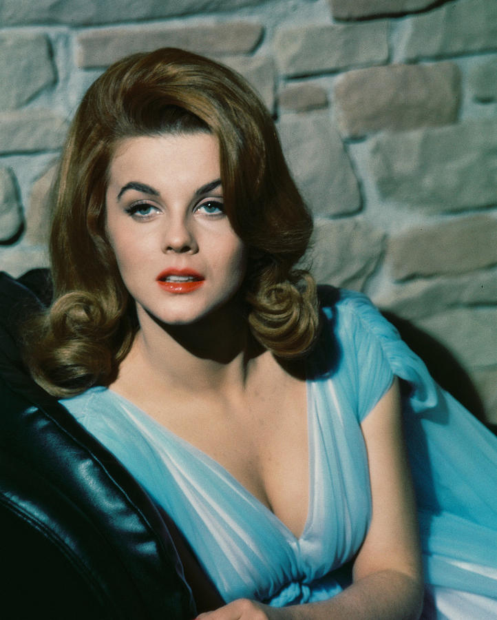 Ann-Margret Photograph by Silver Screen.