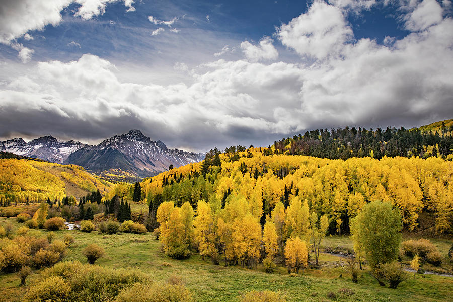 Autumn Aspen Trees And Sneffels Range Photograph by Adam Jones - Fine ...