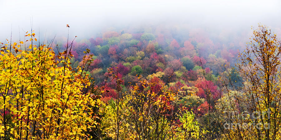 Autumn Highland Scenic Highway #9 Photograph by Thomas R Fletcher