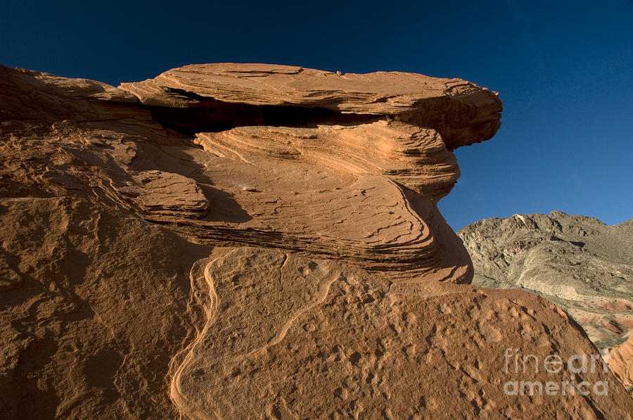 Aztec Sandstone, Lake Mead #9 Photograph by Mark Newman