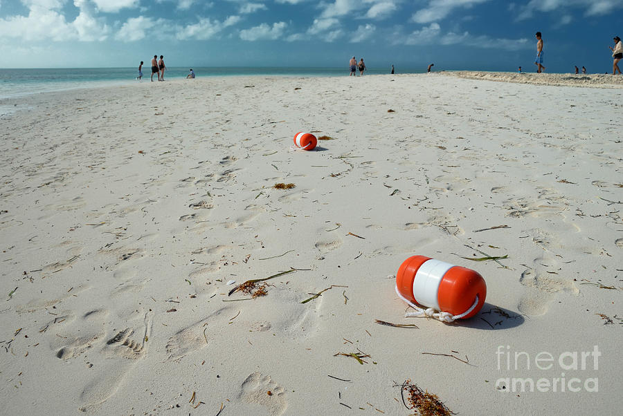 Beach Photograph - Beach at Coco Cay #9 by Amy Cicconi