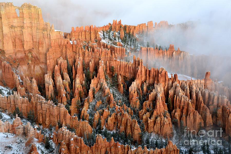 Bryce Canyon  #9 Photograph by Marc Bittan