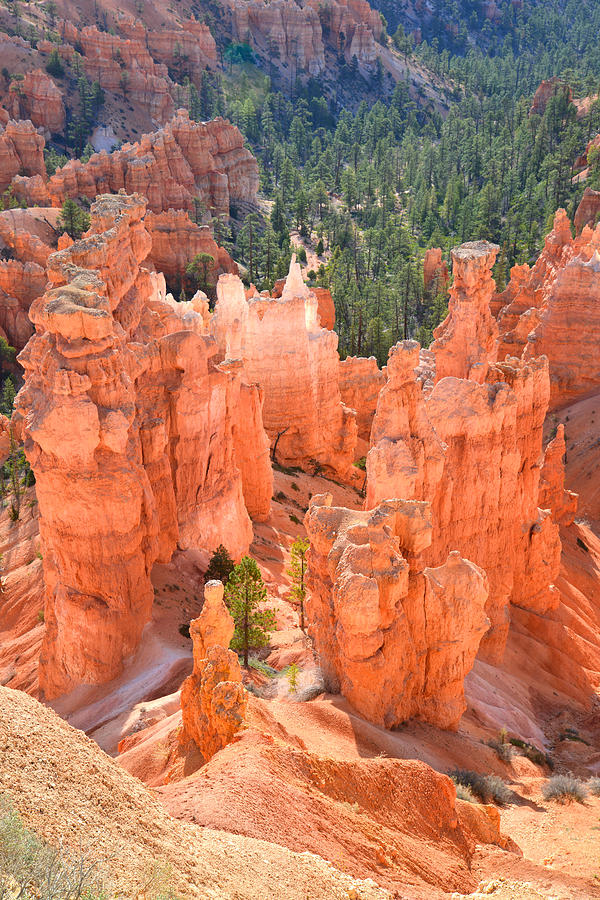 Bryce Canyon #42 Photograph by Ray Mathis