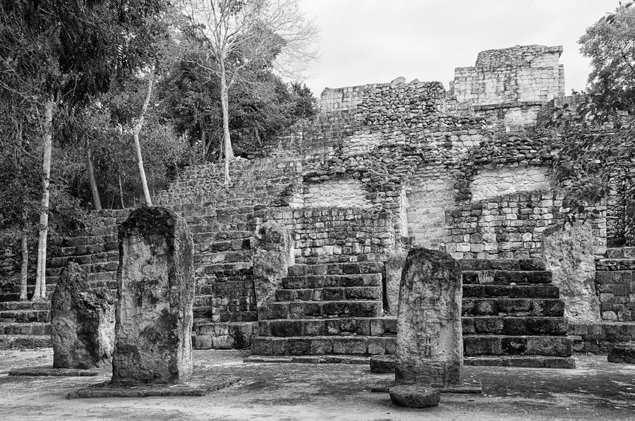Calakmul Mayan Ruins #9 Digital Art by Carol Ailles