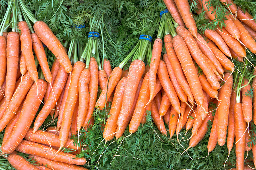 Carrot Photograph - Carrots #9 by Tom Gowanlock
