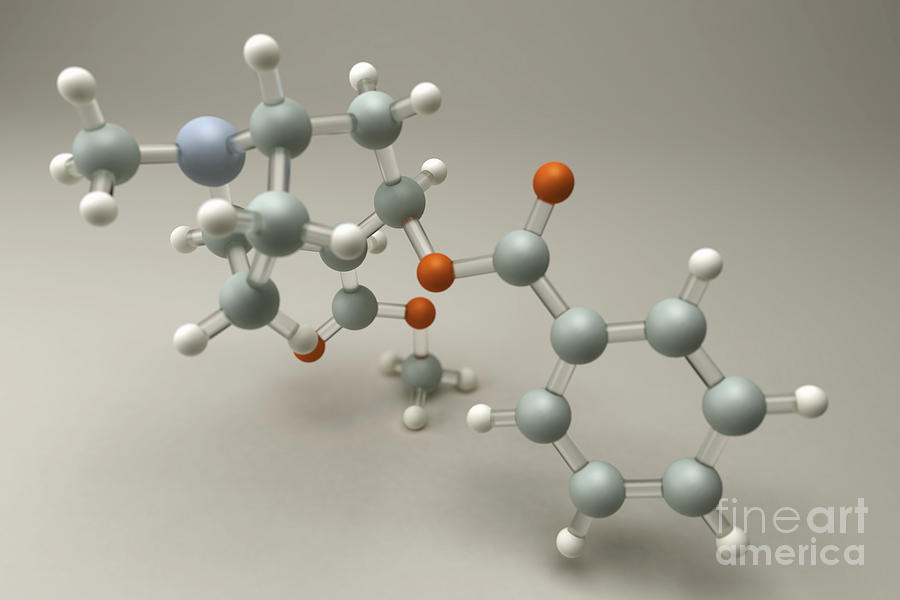 Cocaine Molecule #9 Photograph by Science Picture Co