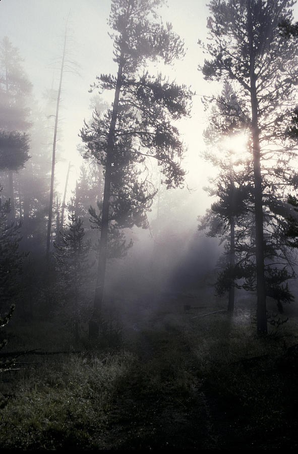 Colorado Rockies #9 Photograph by Scott Warren
