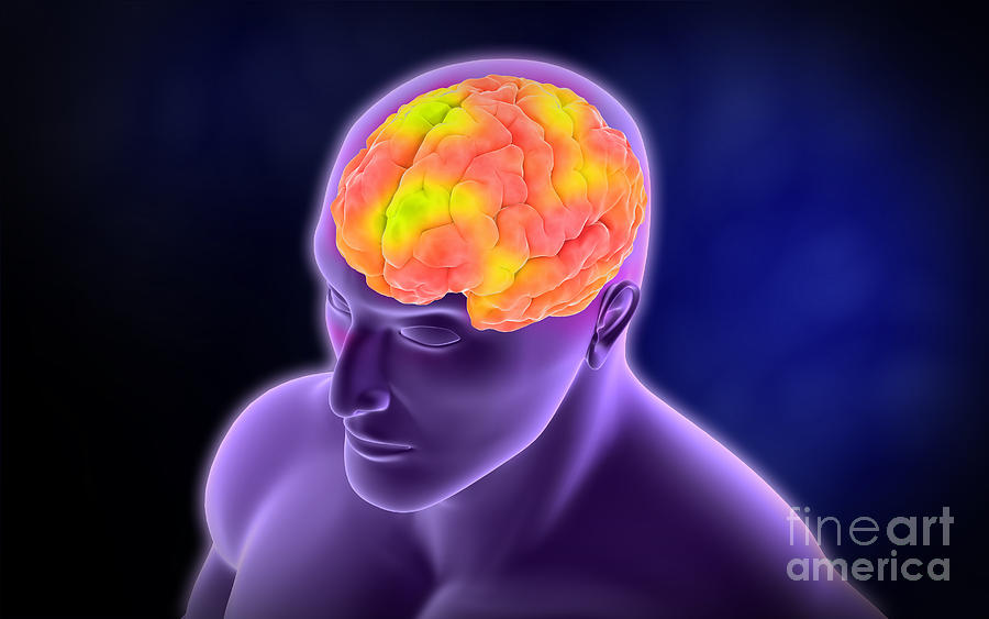 Horizontal Digital Art - Conceptual Image Of Human Brain #9 by Stocktrek Images