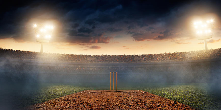Cricket: Cricket stadium #9 Photograph by Aksonov