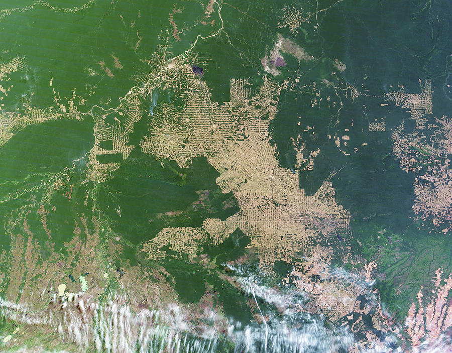 Forest Photograph - Deforestation In The Amazon #9 by Nasa Earth Observatory