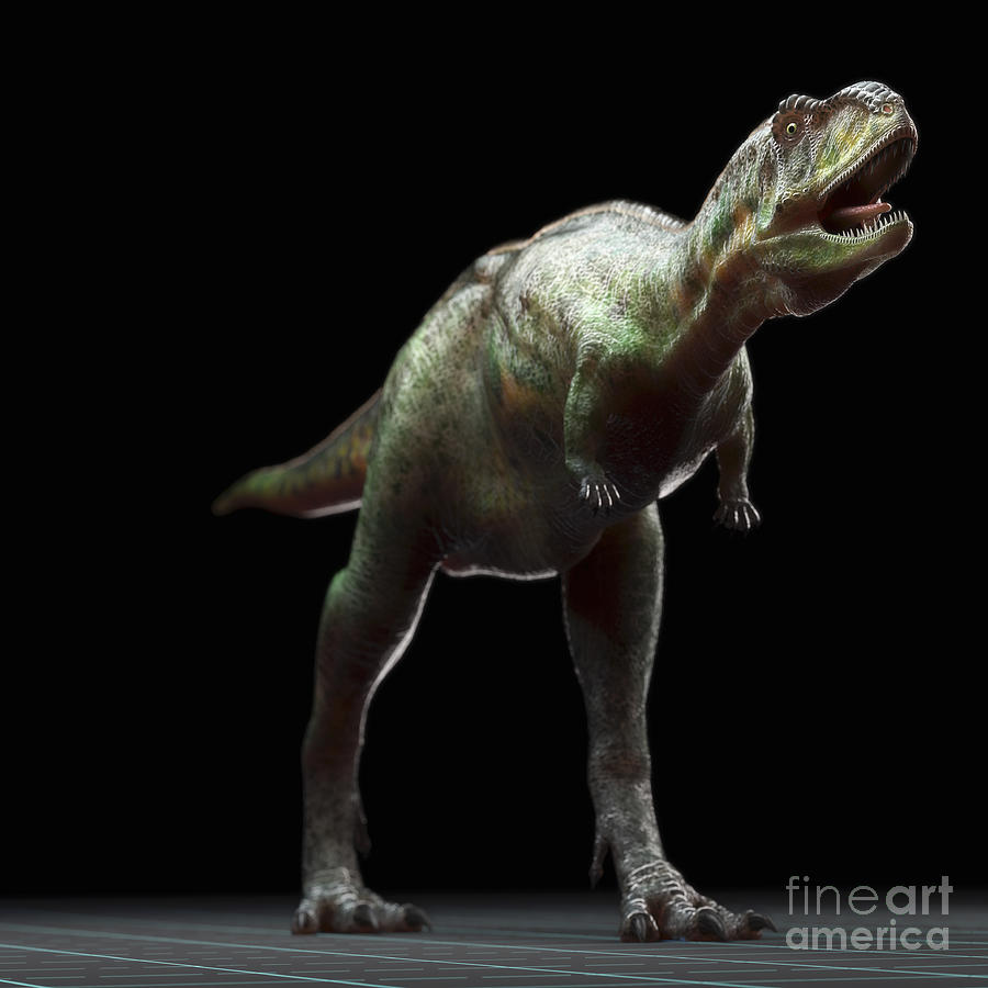 Dinosaur Aucasaurus #9 Photograph by Science Picture Co