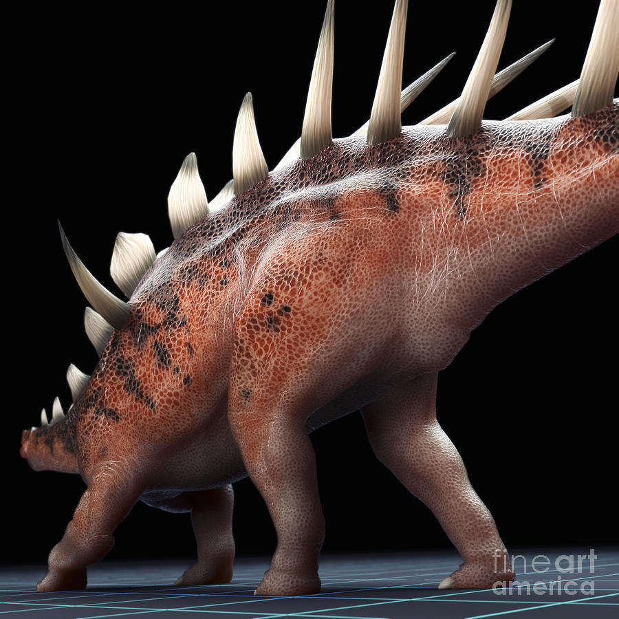 Dinosaur Kentrosaurus #9 Photograph by Science Picture Co