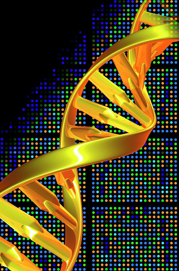 Array Photograph - Dna Microarray And Double Helix #9 by Pasieka