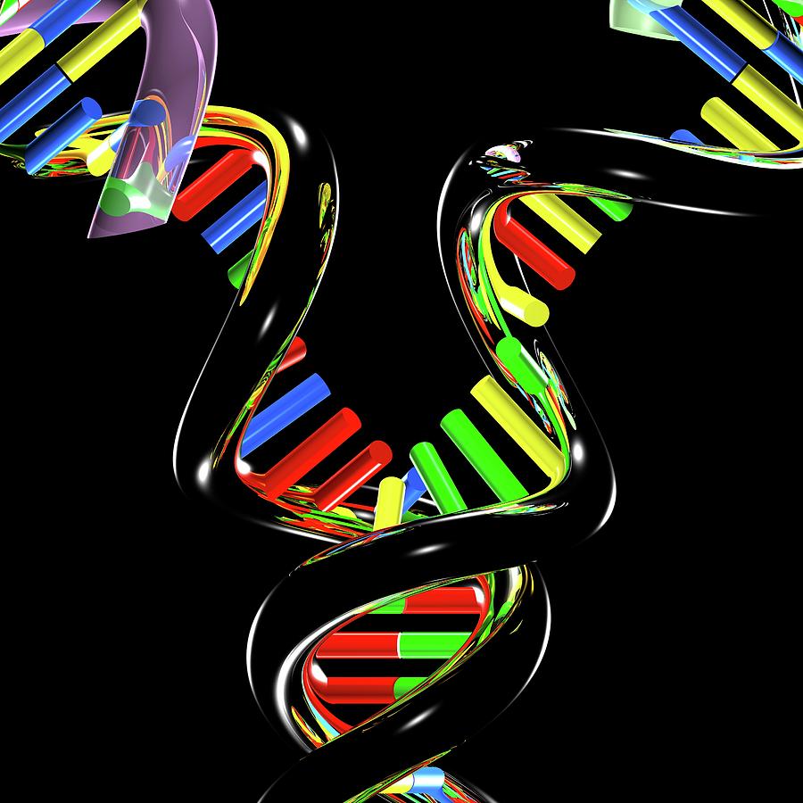 Base Photograph - Dna Replication #9 by Russell Kightley