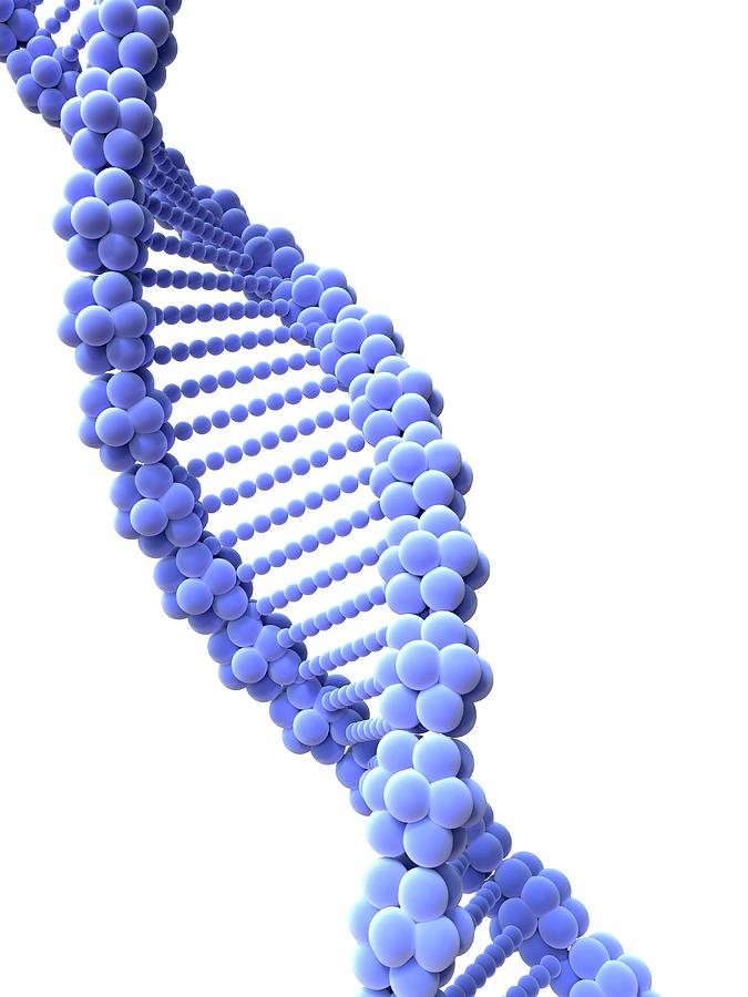 Dna Strand Photograph by Alfred Pasieka/science Photo Library - Pixels