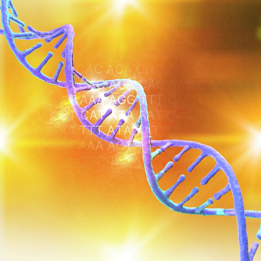 Dna Strand Photograph By Mehau Kulykscience Photo Library Fine Art America 6395