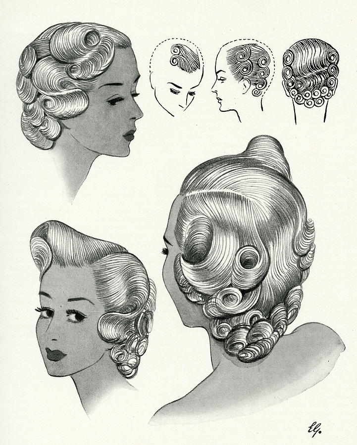 During The 1940s, Elaborate Hair Drawing by Mary Evans Picture Library -  Fine Art America