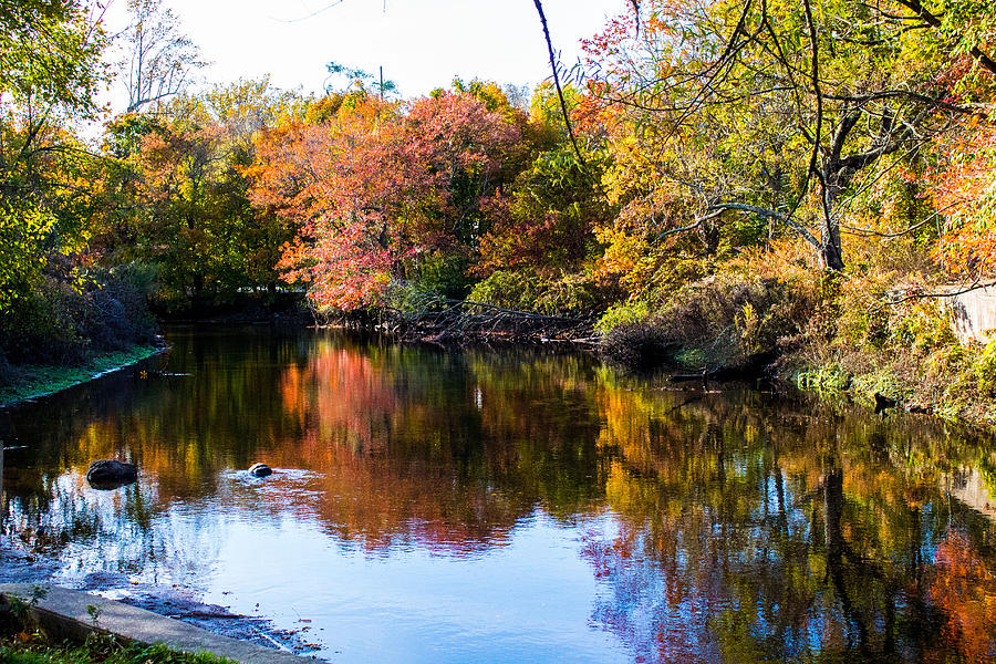 Fall Foliage at Nissequogue River #9 Photograph by Susan Jensen