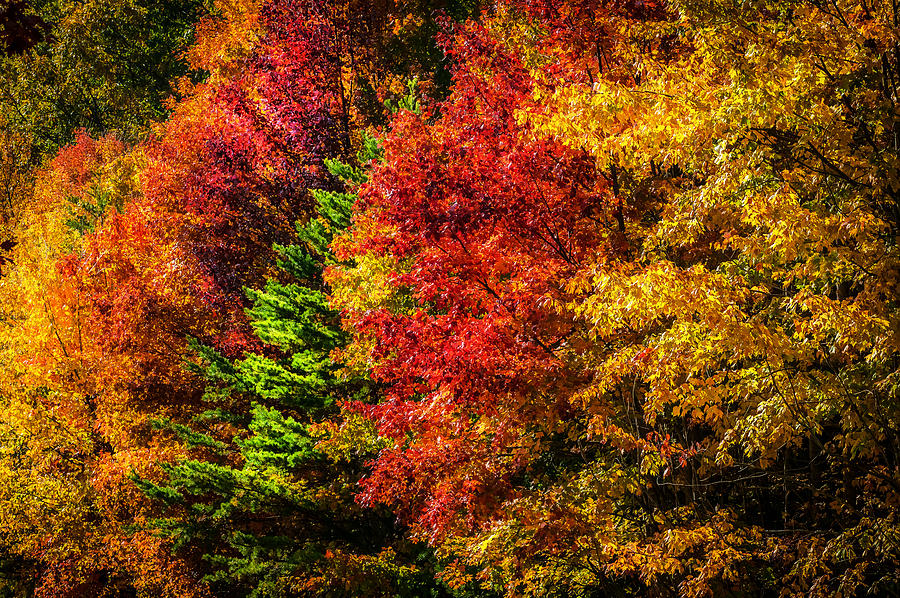 Fall Foliage Great Smoky Mountains Painted #8 Photograph by Rich Franco