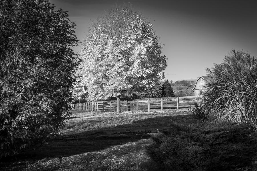 Fall Foliage Sussex County New Jersey Painted BW   #9 Photograph by Rich Franco