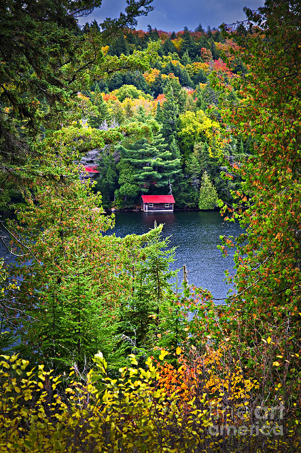Fall Forest And Lake 2 Photograph