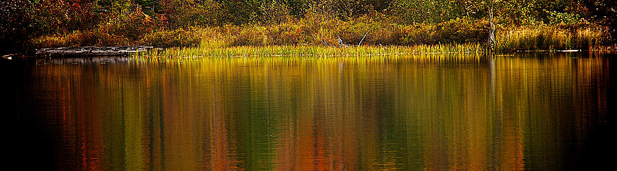 Fall Reflections #9 Photograph by Prince Andre Faubert