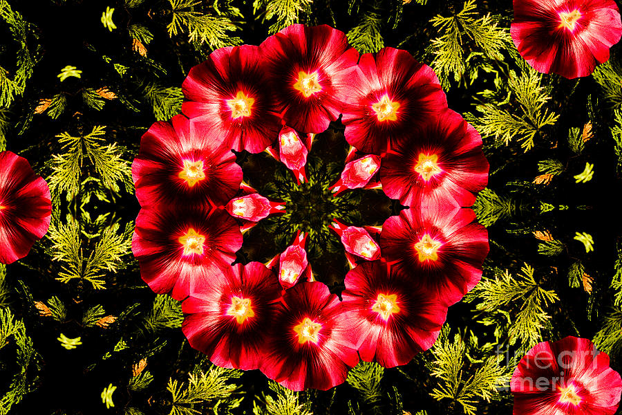 Flower Kaleidoscope Resembling A Mandala Photograph