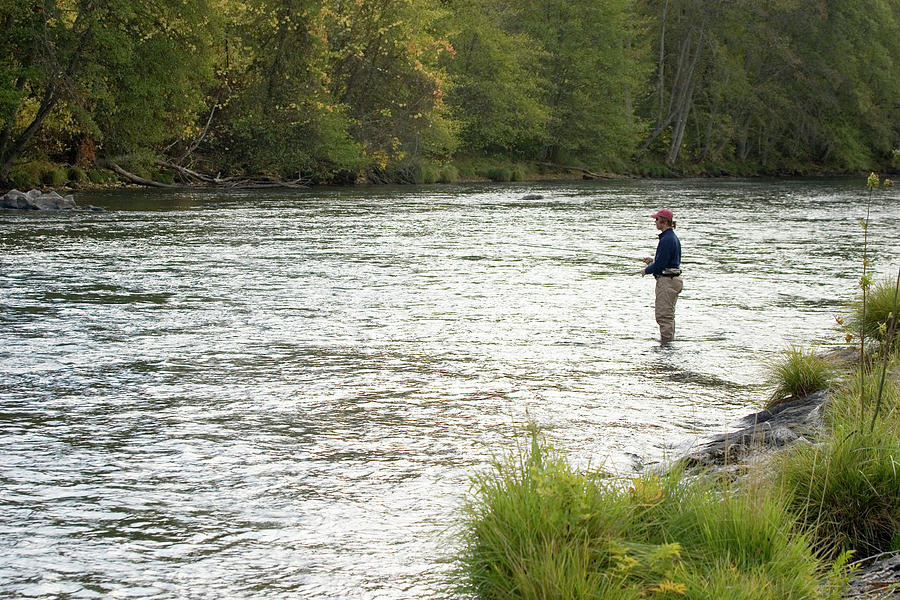 Fly Fishing For Steelhead Trout #9 Photograph by Justin Bailie - Fine ...