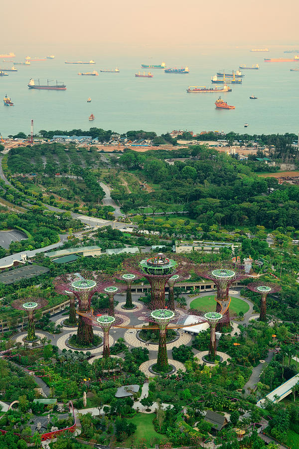 Garden by the Bay #9 Photograph by Songquan Deng