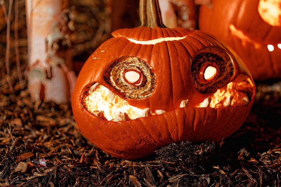 Fall Photograph - Halloween Pumpkin #9 by Peter Lakomy