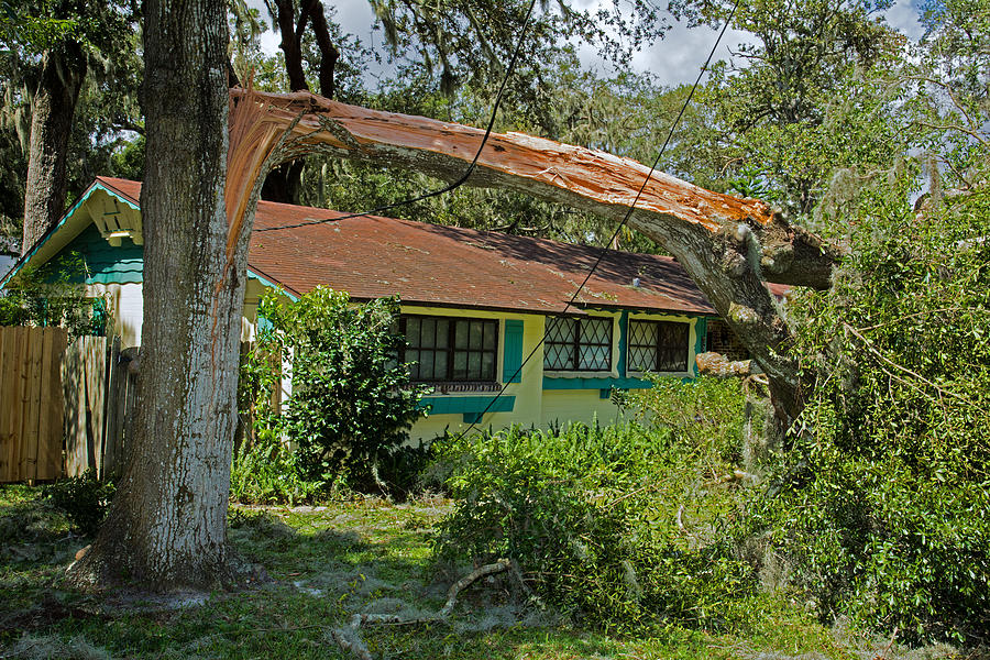 Nature Photograph - Hurricane Irma Residential Storm Damage #9 by Millard H. Sharp