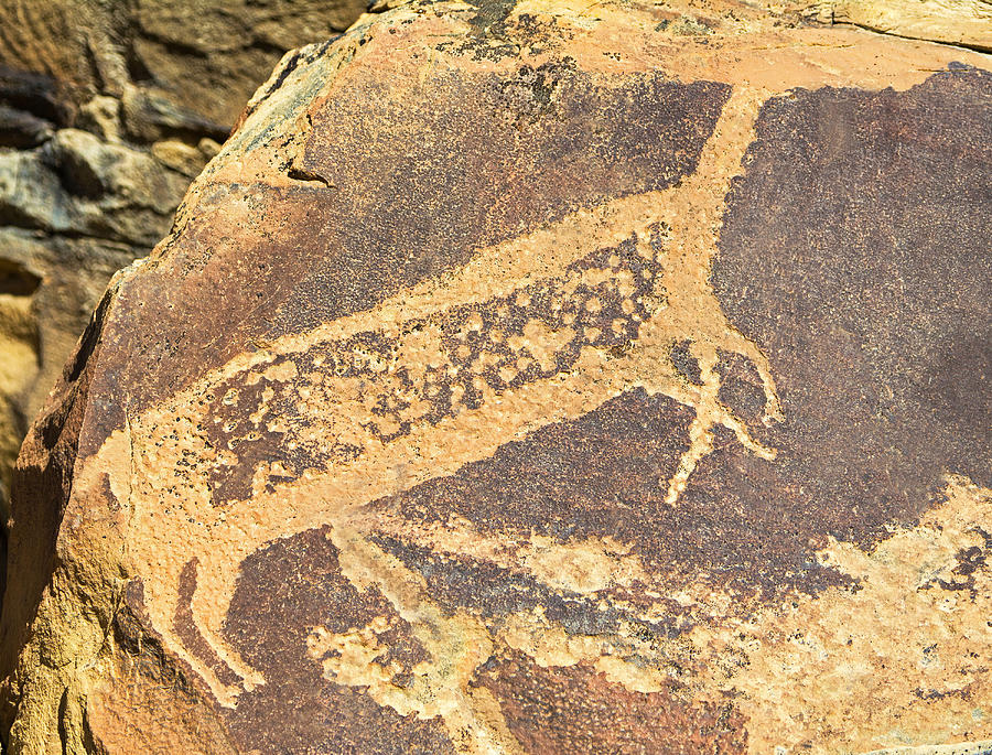 Legend Rock Petroglyph #9 Photograph by Millard H. Sharp