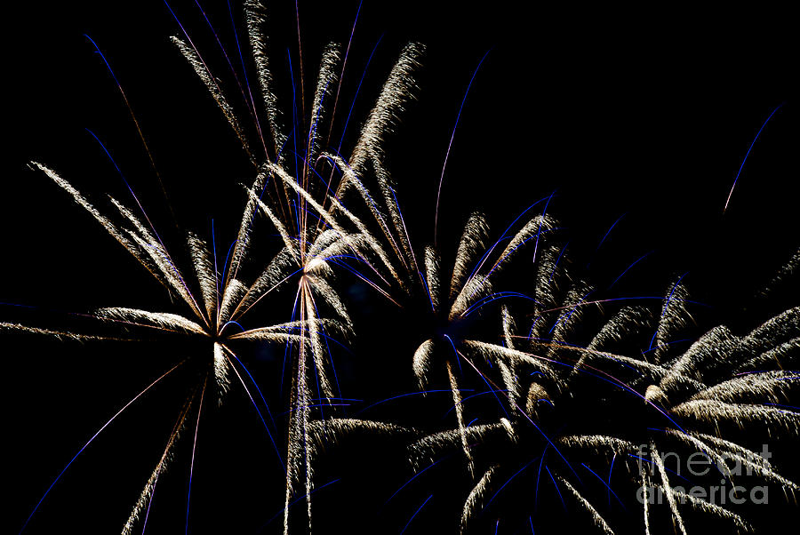 Local Fireworks #9 Photograph by Mark Dodd